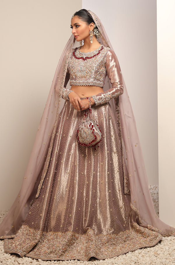 Lame Tissue And Organza-Full Set