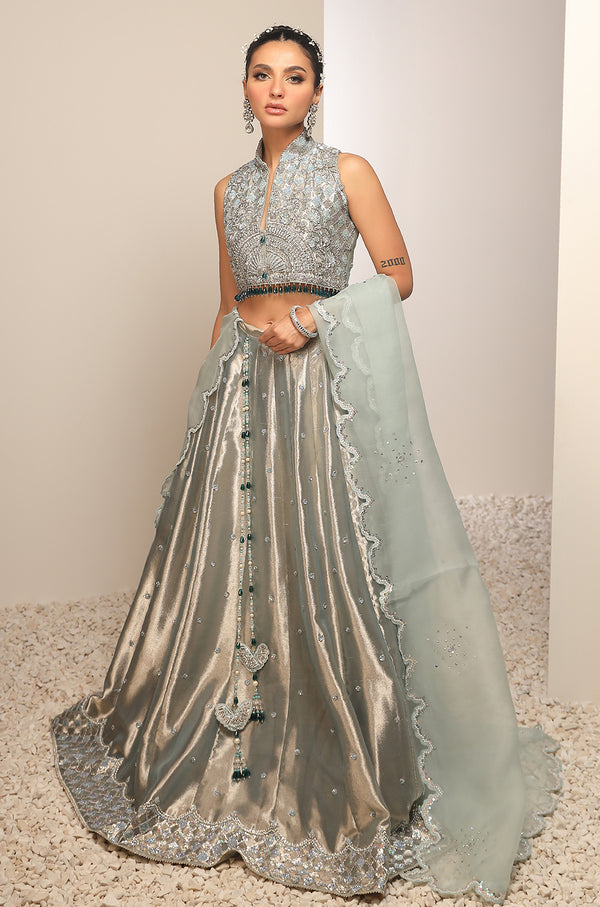 Lame Tissue And Organza-Full Set