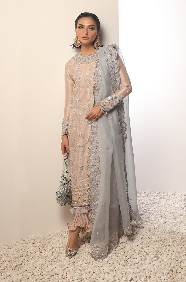 Raw Silk ,Organza And Crushed Silk-Full Set